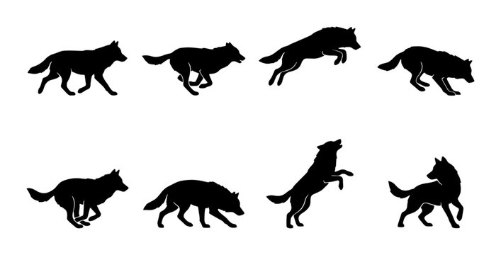 Wolf Silhouette Animation Pack, Canine Action Poses, Wild Animal Motion Graphics, Predator Movement Sequences, Vector Art for Wildlife Projects