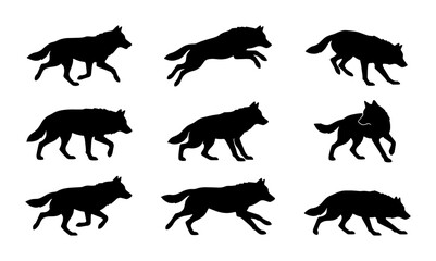 Obraz premium Wolf Silhouette Collection, Canine Animal Poses, Wild Predator Motion Graphics, Vector Pack for Nature and Wildlife Designs