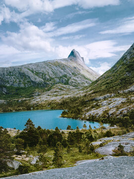 Rocky mountains and blue lake surrounded with forest landscape in northern Norway moody scenery, Aselidalen in Bodo wild nature summer scenic view travel destinations natural landmark in Scandinavia