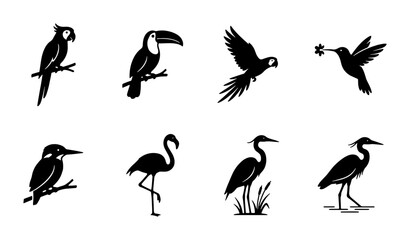 Fototapeta premium Diverse Bird Silhouettes Collection, Tropical Parrot, Toucan, Hummingbird, Flamingo, Heron, Kingfisher Icons, Vector Graphics for Nature and Wildlife Designs