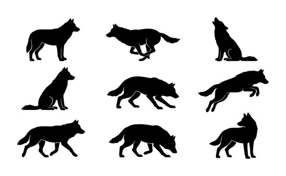 Wolf Silhouettes Collection, Dynamic Animal Poses Vector Set, Wild Canine Graphic Elements, Howling and Running Wolf Icons