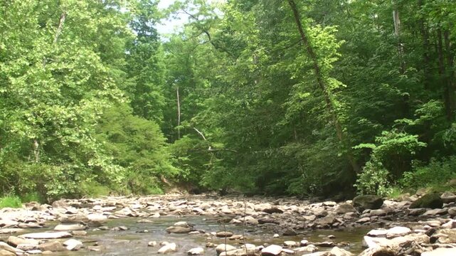 The Flow of Brandywine Creek III