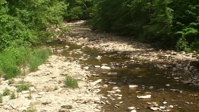 The Flow of Brandywine Creek VI