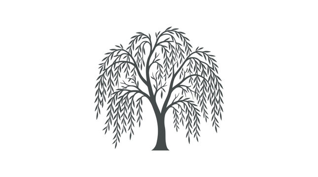 Weeping Willow Tree Silhouette Illustration.