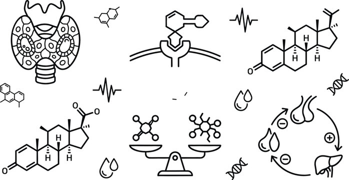 Medical endocrine system hormone line art vector icon set featuring thyroid gland chemical structure receptor balance feedback loop
