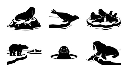 Arctic Wildlife Icons Set: Polar Bear, Walrus, Seal Silhouettes for Nature and Exploration Graphics © parvin