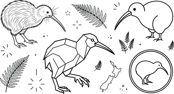 New Zealand kiwi bird line art vector icon set with silver fern leaves geometric low poly national map elements