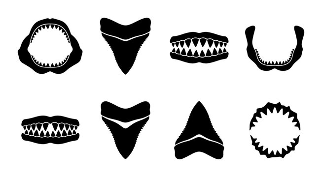 Shark Teeth and Jaws Vector Icons Set, Marine Predator Danger Symbols, Predatory Mouth Silhouettes, Ocean Wildlife Threat Illustrations