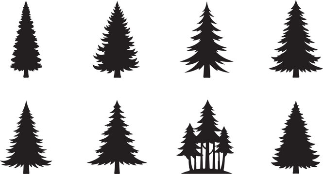 Pine tree silhouettes, forest icons, tree set, black trees