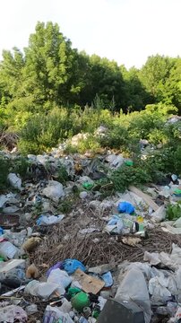 garbage in the park. garbage in the forest. natural landfills. garbage in the environment. garbage dump in the forest. garbage on the side of the road
