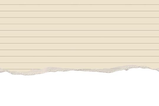 Blank Lined Notebook Paper Sheet with Torn Edges Isolated on Transparent Background for Office Notes, Business Tags, and Message Placeholders
