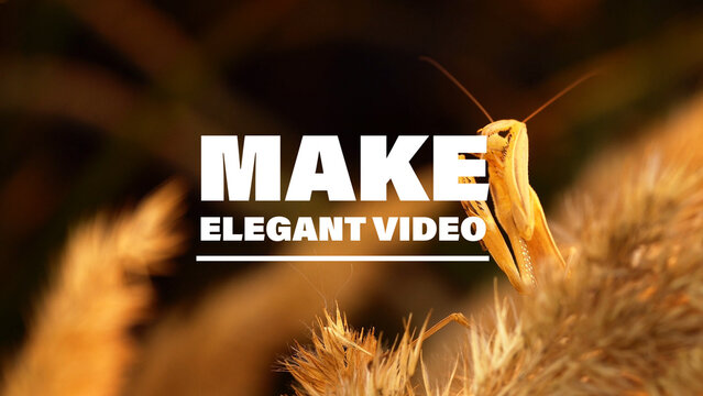Motion Typography