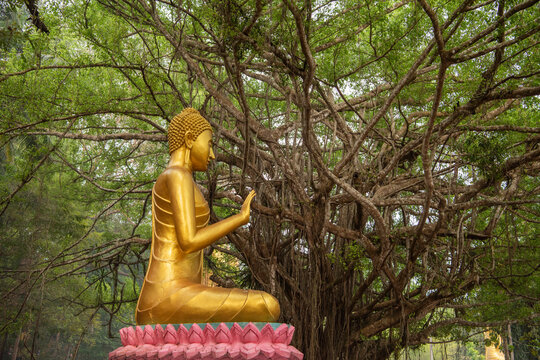 THAILAND CHANTHABURI WAT CHAK YAI BUDDHA PARK