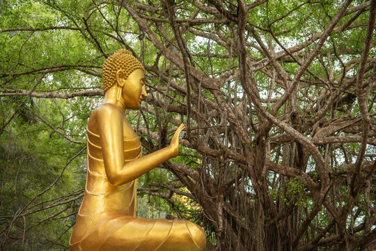 THAILAND CHANTHABURI WAT CHAK YAI BUDDHA PARK