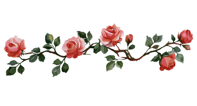 Watercolor line - Rose Border&nbsp;object isolated illustration on transparent background. 