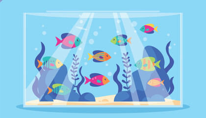 Fototapeta premium Colourful tropical fish swim inside a glass aquarium tank filled with blue water, green seaweeds, rocks, and bright sun rays.