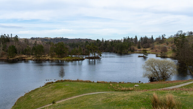 Tarn Hows lake in the Lake District, UK. The lake is surrounded by wooded slopes
