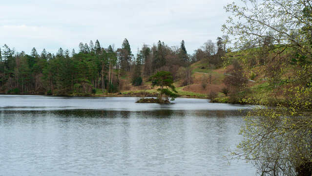 Tarn Hows lake in the Lake District, UK. The lake is surrounded by wooded slopes