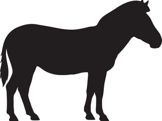 Fototapeta premium Black silhouette of a standing zebra on white background with silhouette wildlife isolated