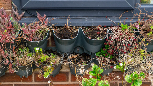 Hanging plant pots on a brick wall beneath the window. A wall-mounted cascading plant container