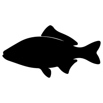 Black silhouette of bass fish icon isolated on transparent background.