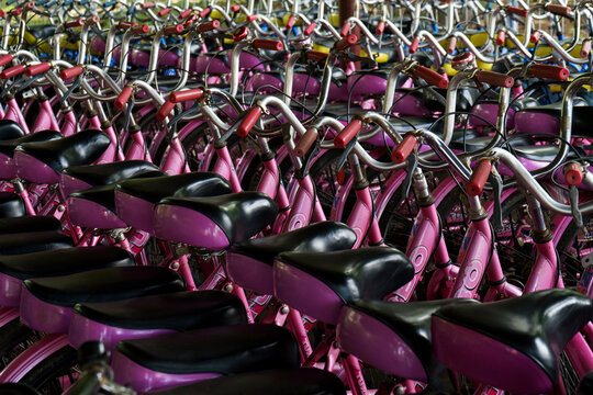 Colorful Bicycles for Rental in Historical Park