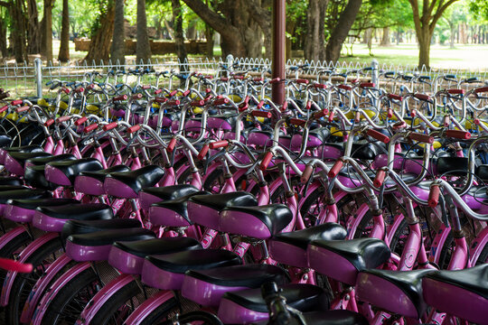 Colorful Bicycles for Rental in Historical Park