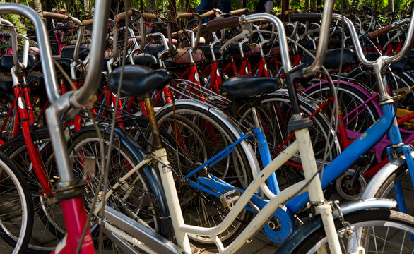 Colorful Bicycles for Rental in Historical Park