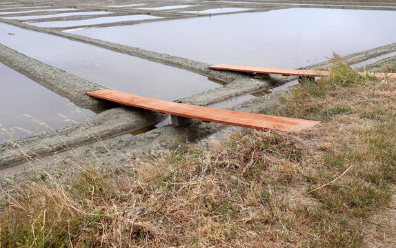 planche de bois pour acc&eacute;der aux &oelig;illets des marais salants