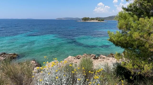 Exploring a coast with clear water and plants under blue sky in a sunny location