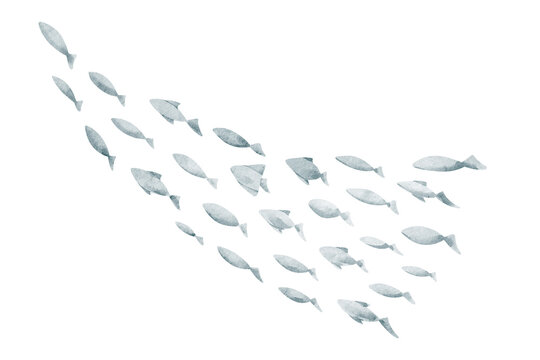 School of Fish watercolor illustration. Curved Fish shoal isolated on background. Ocean wildlife element for marine themes, aquatic artwork and nautical design.