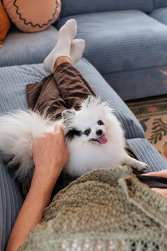 Cozy Moment Relaxing with a Small Dog