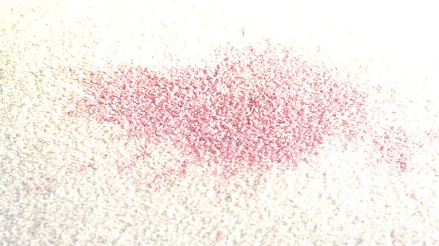Police Photograph Blood Stain On Carpet