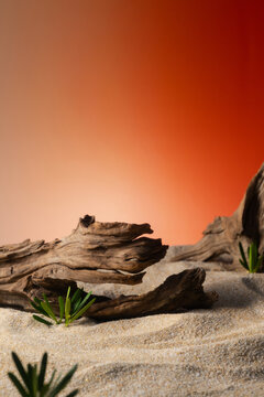 Driftwood and sand with green shoots against warm gradient background