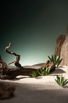 Desert landscape with driftwood and sparse green plants on sand