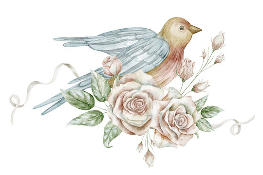 Watercolor blue bird with roses . Floral illustration of songbird and pastel pink flowers for botanical arrangement, wedding stationery, branding and vintage greeting cards. Art on isolated background