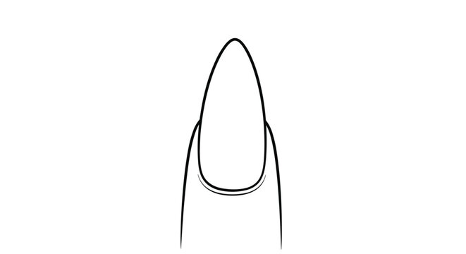 Symmetrical black outline drawing of a long stiletto shaped fingernail representing professional manicure and nail art.