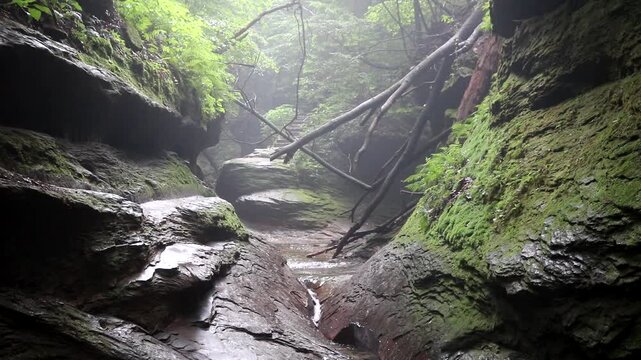 A small trickle of water runs through large mossy boulders