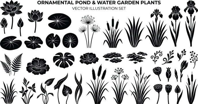 Ornamental Pond Water Garden Plants Botanical Vector Silhouette Collection Premium Bundle