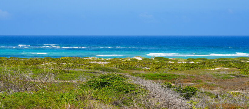 Coastal vegetation and sand dunes with turquoise ocean view at Sero Colorado in Aruba, Eastern Caribbean
