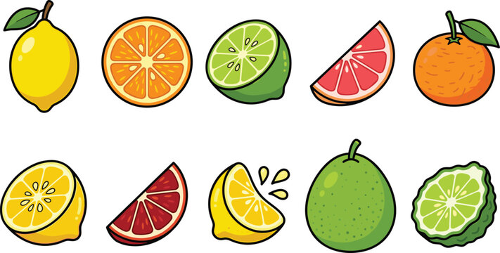 Citrus fruit vector illustration icon set featuring fresh whole and sliced lemon orange lime grapefruit tangerine pomelo and bergamot shapes on white background
