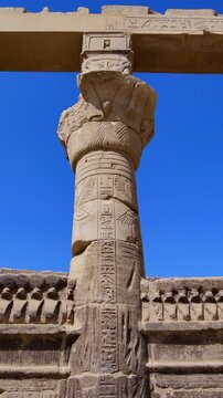 Upward view of ornate floral capitals on Ptolemaic columns at Philae Temple, Aswan Egypt. Elegant ancient architecture against vivid blue sky. Travel and history content.