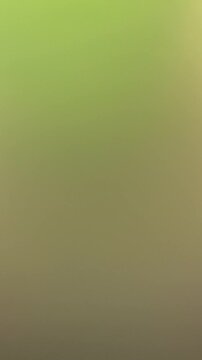 Abstract multicolor gradient background, soft blurred motion