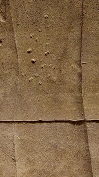 Detailed reliefs of ancient Egyptian deities and hieroglyphs carved on the walls of the Philae Temple. Egypt.
