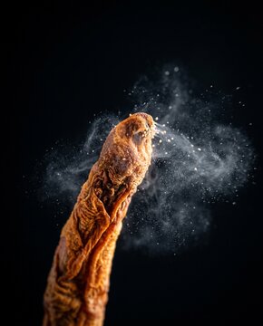 Extreme macro of mature cordyceps stroma releasing spore cloud in dark field