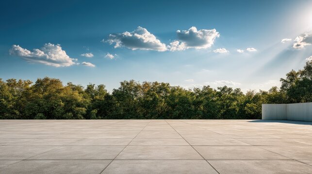 Open, sunlit concrete plaza with lush green trees under a bright sky