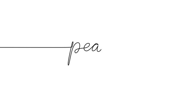 Peace Text Continuous Line Art Motion Graphic for Harmony and Serenity