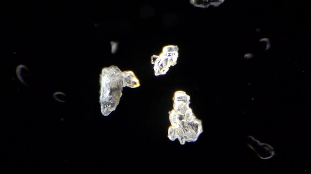 Salt crystals growing under microscope