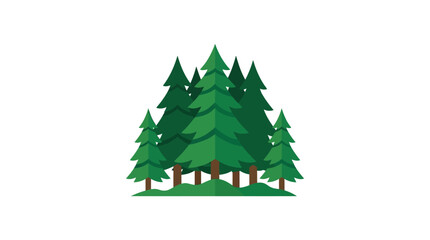 Flat design evergreen pine trees forest illustration on white background © Por