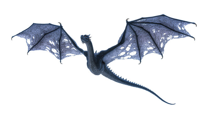 Dark blue dragon with tattered wings flying